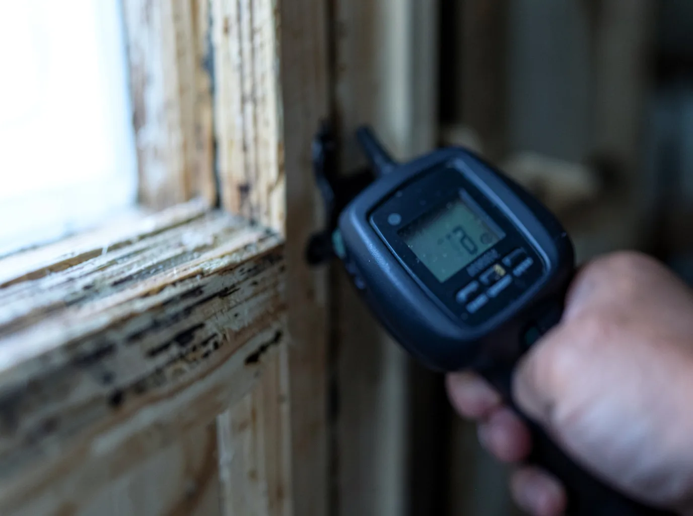 Moisture Inspection And Documentation in Annandale, NJ